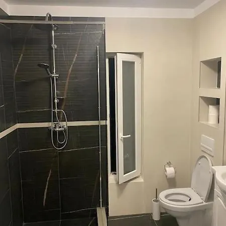 Hotel Apartament Vox Torontalului *