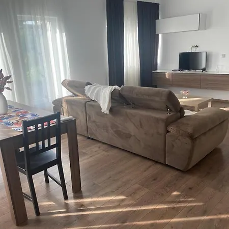 Apartament Vox Torontalului *