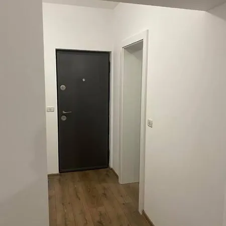 酒店 Apartament Vox Torontalului