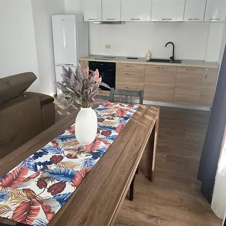 酒店 Apartament Vox Torontalului 蒂米什瓦拉